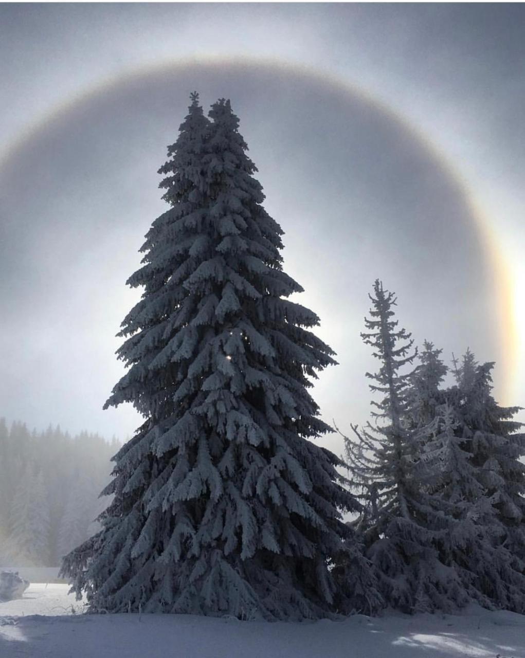 Silver Mountain Milmari Kopaonik Exteriér fotografie
