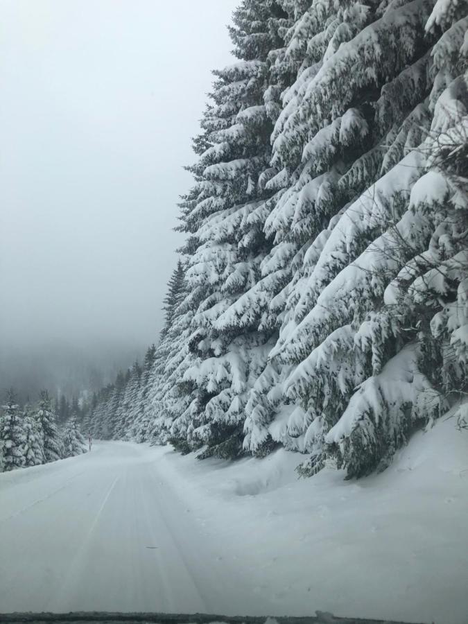 Silver Mountain Milmari Kopaonik Exteriér fotografie
